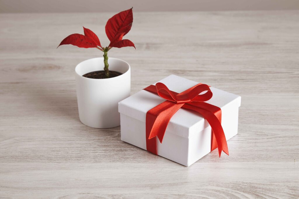 gift ideas for employees on diwali